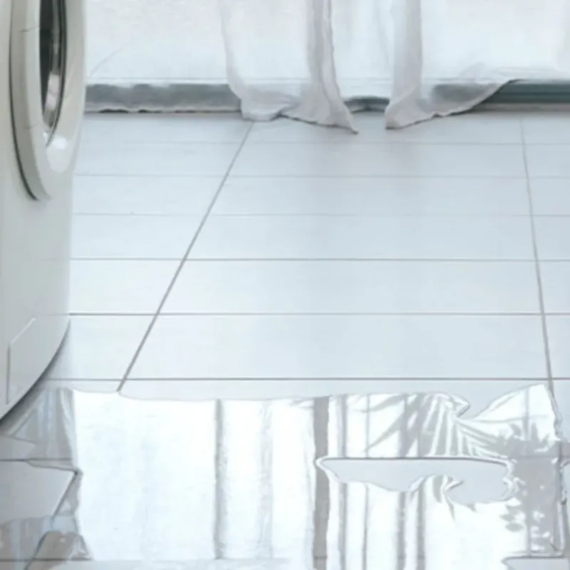 Appliance Leak Cleanup in Burnham, IL