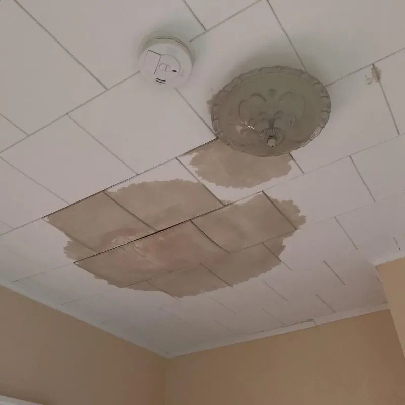 Ceiling Water Damage Repair in Burnham, IL