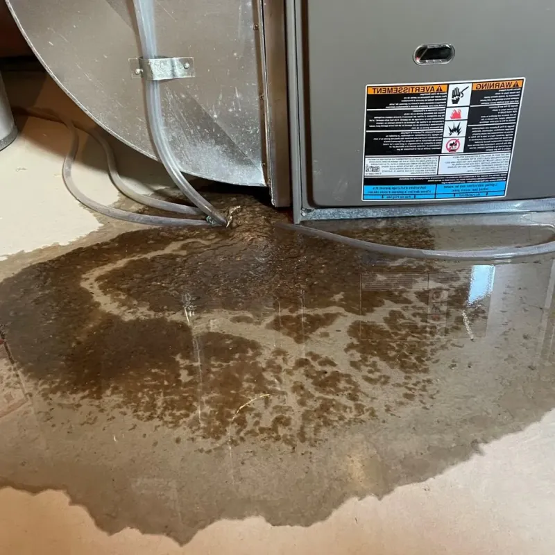 Pipe Burst and Leak Restoration in Burnham, IL