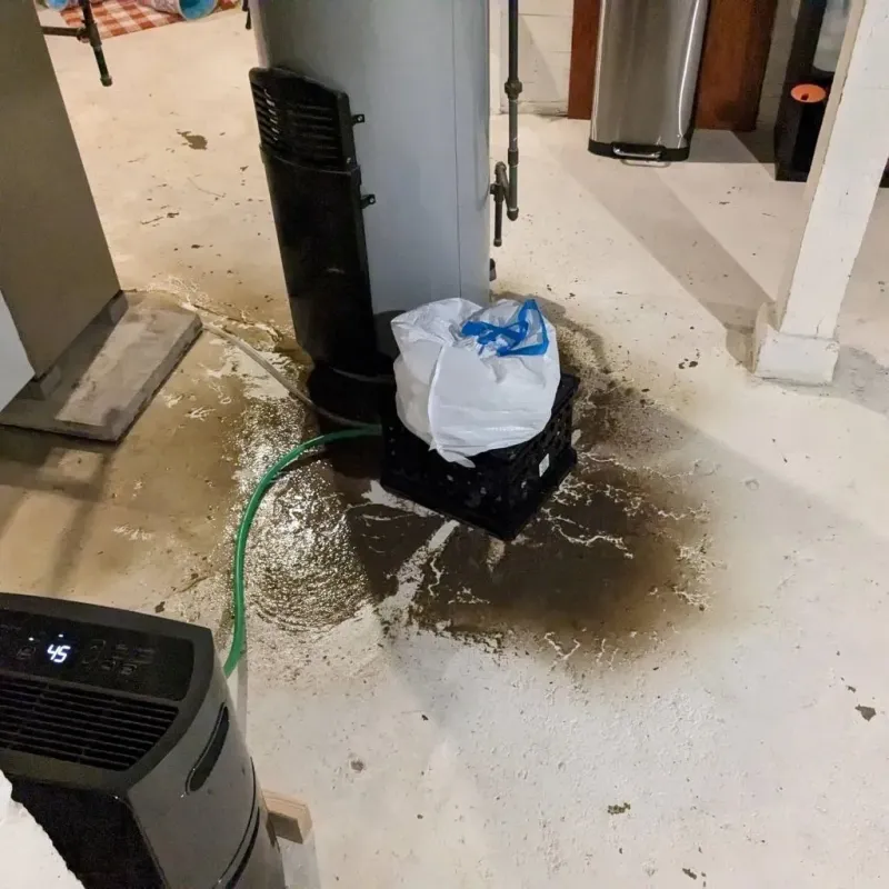 Sewage Backup Cleanup Service in Burnham, IL